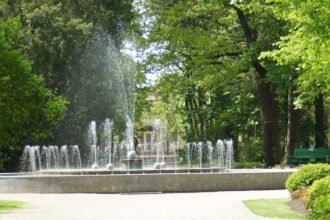 DSC07735