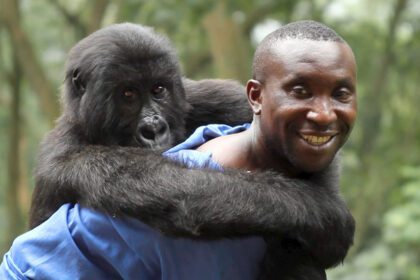 Kadras is filmo VIRUNGA