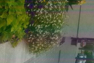 20150903_155614