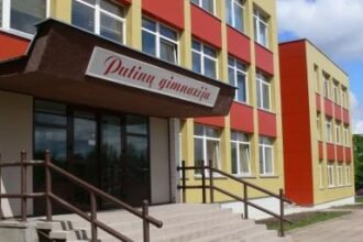 alytaus-putinu-gimnazija-548d664239df0
