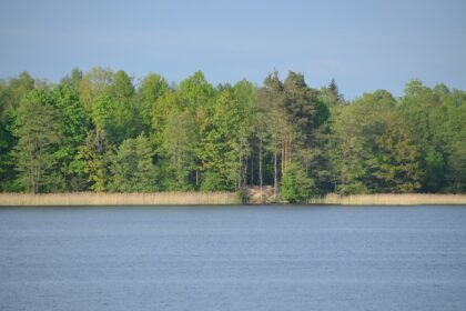 ilgio_maudykla2