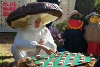 grybai