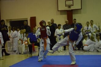 mohikan2