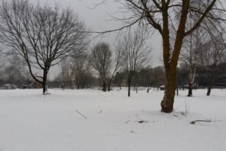 20170110_153912