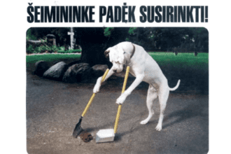 seimininke_padek_susirinkti