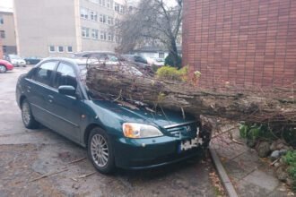 auto