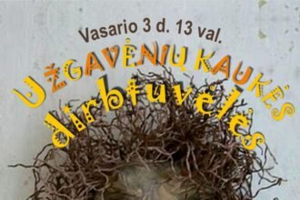 uzgaveniu_kaukiu_dirbtuveles