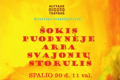 alytaus_miesto_teatro_spektaklis_sokis_ouyodyneje_arba_svajoniu_storulis