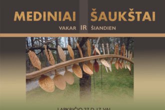 mediniai_saukstai