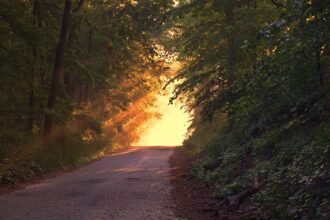sunlight-166733_960_720