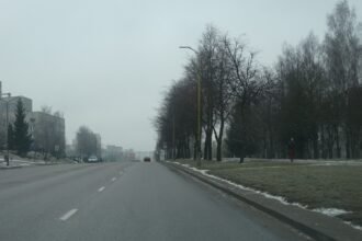 likiskeliu_g