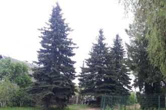 20190516_114804