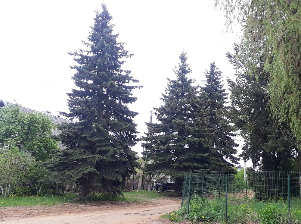 20190516_114804