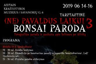 programaa