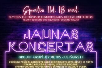 10_11jaunimo_konc1