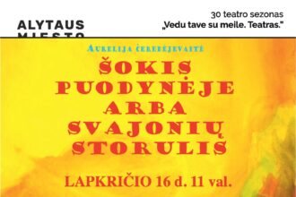 11_16_sokis_puodyneje