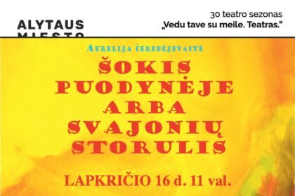 11_16_sokis_puodyneje