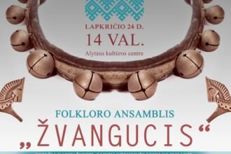 11_24_zvanguc_gimt