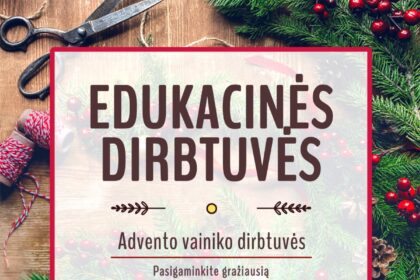 12_01_edukacined_dirb