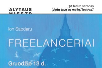 12_13_freelanceriai