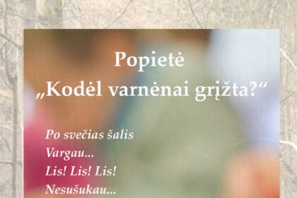 02_29_kodel_varnenai_grizta