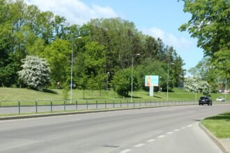 naujoji