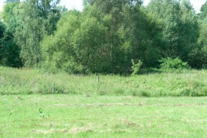 apleisti_sklypai_1_ams_nuotr