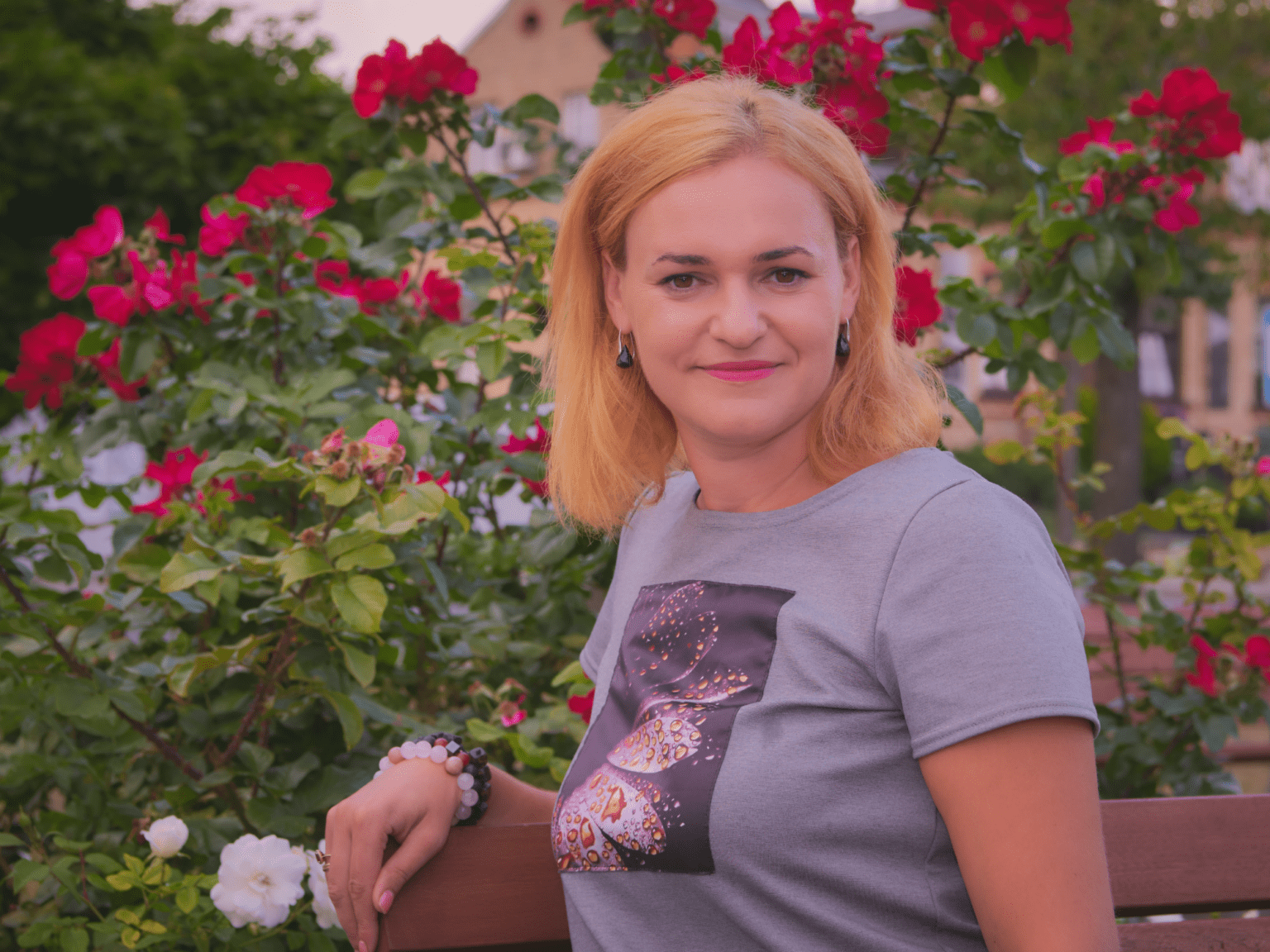 daina003