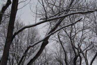 spring-snow-2