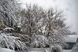 winter-scene-a