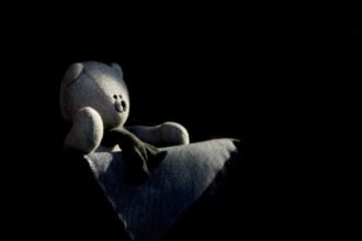 teddy-bear-in-shadow