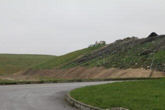 savartynas
