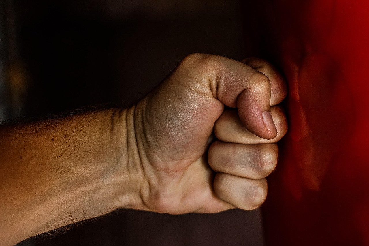 fist-1561157_1280_1