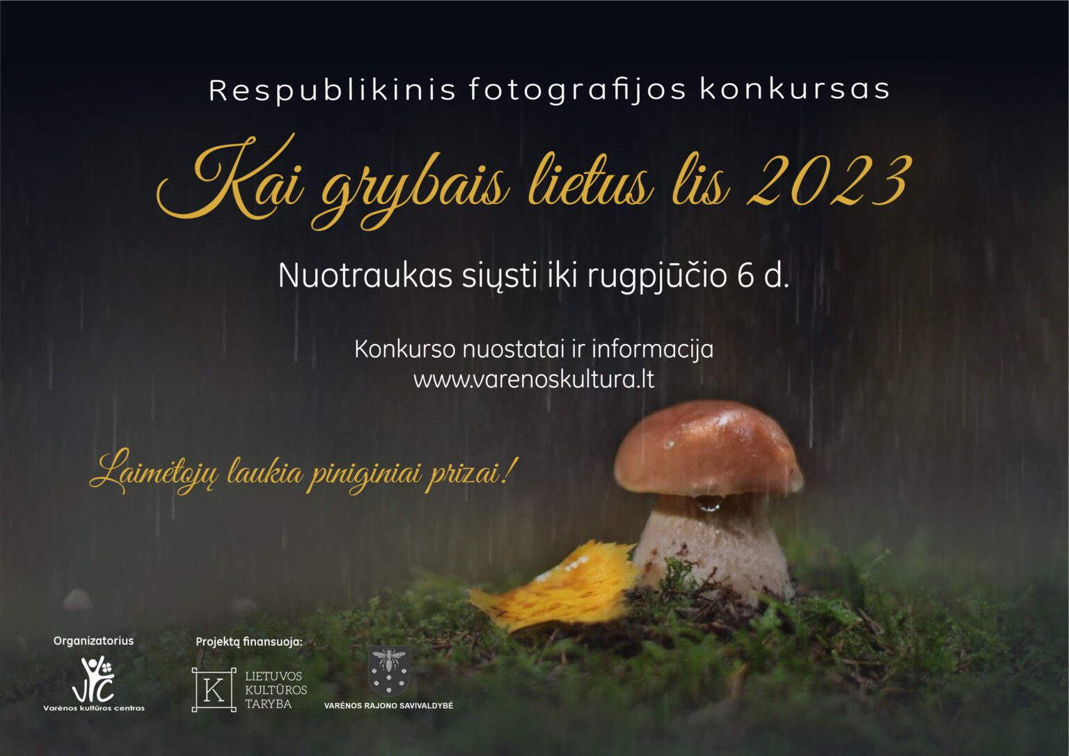 kai_grybais_lietus_lis_2023_plakatas