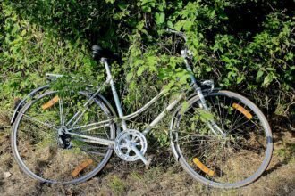 bike-450246_1280