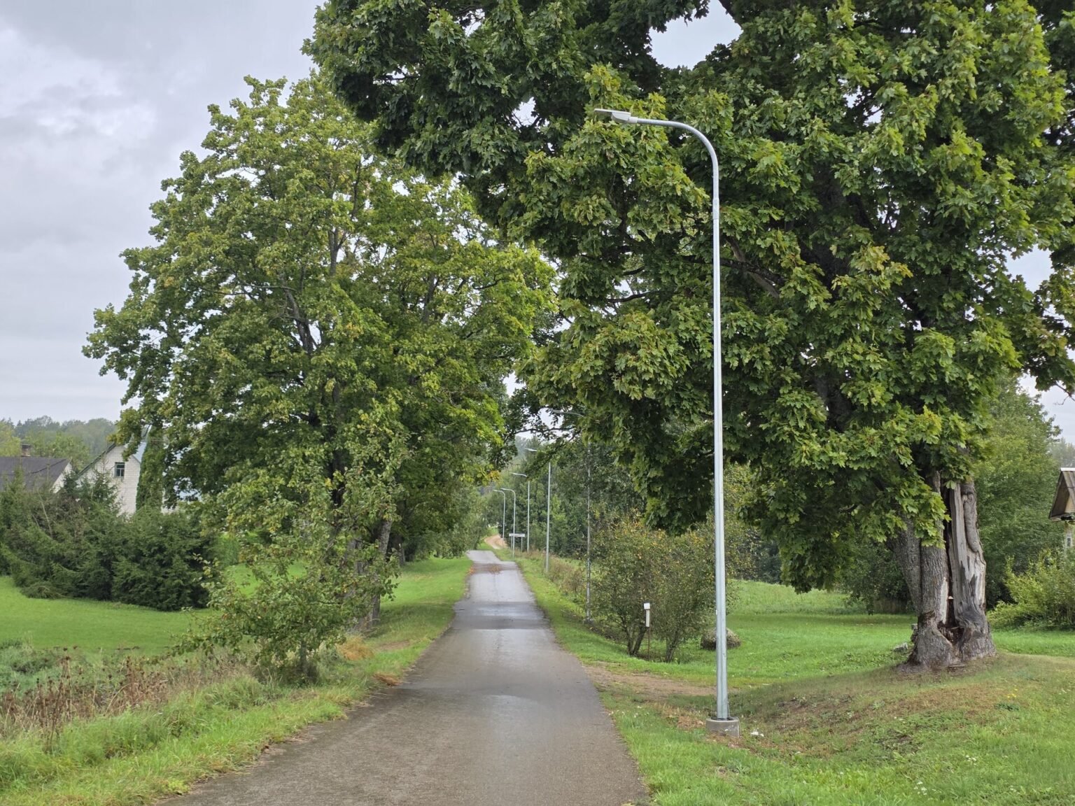 atnaujintas apšvietimas