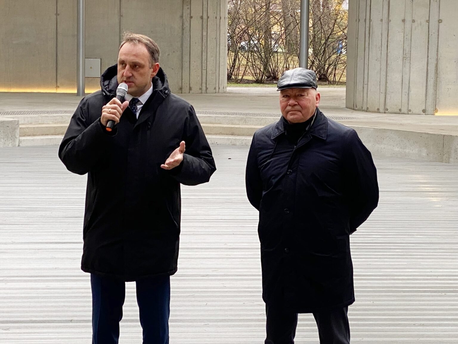 N. Cesiulis, V. Grigaravičius