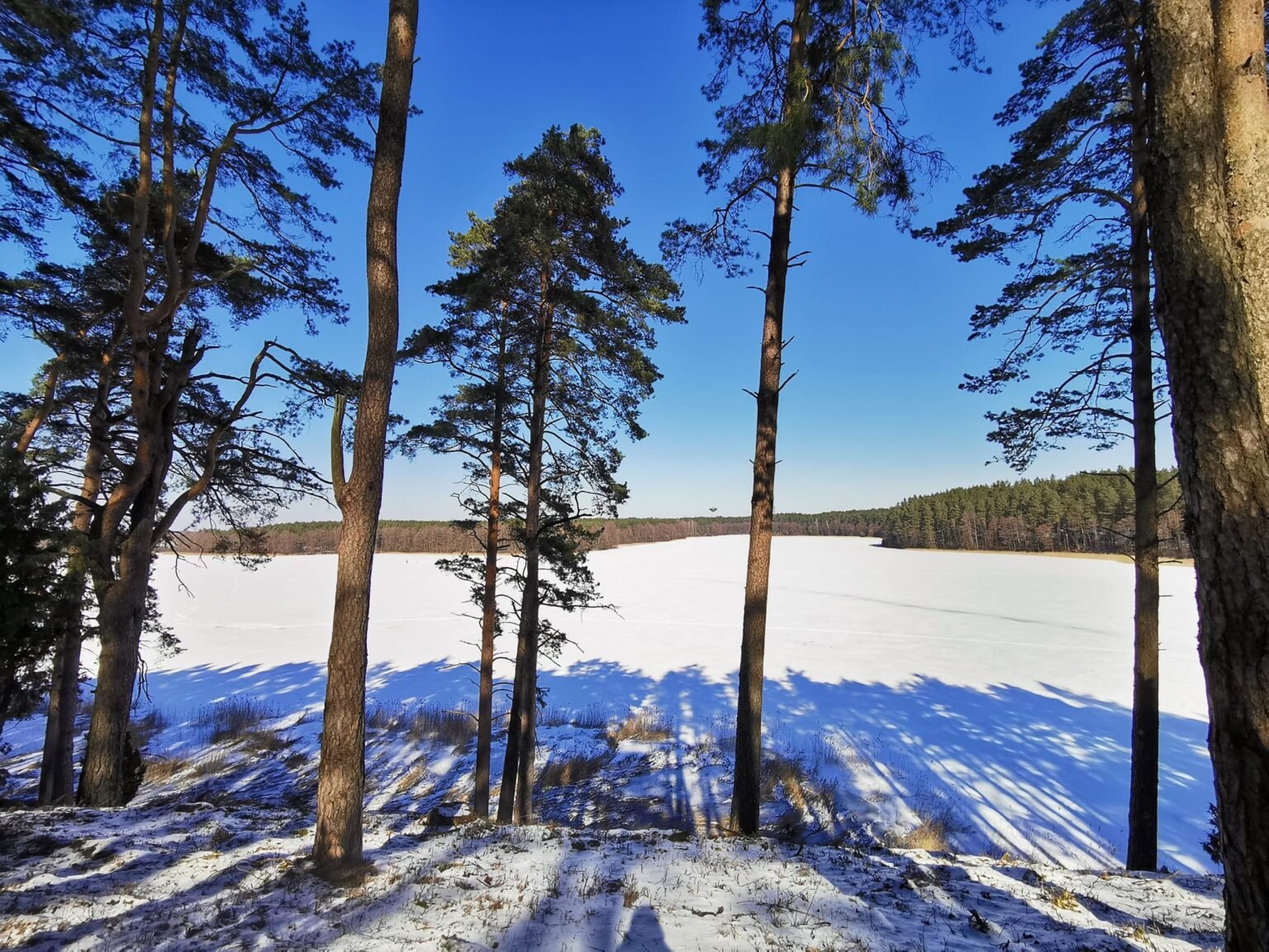 Veisiejų regioninis parkas