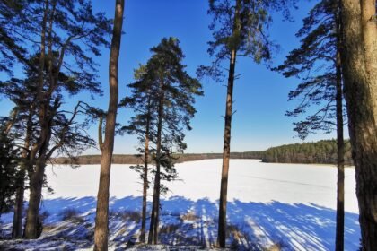 Veisiejų regioninis parkas